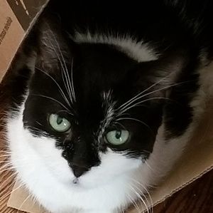 Meet your Posher, Eilidh